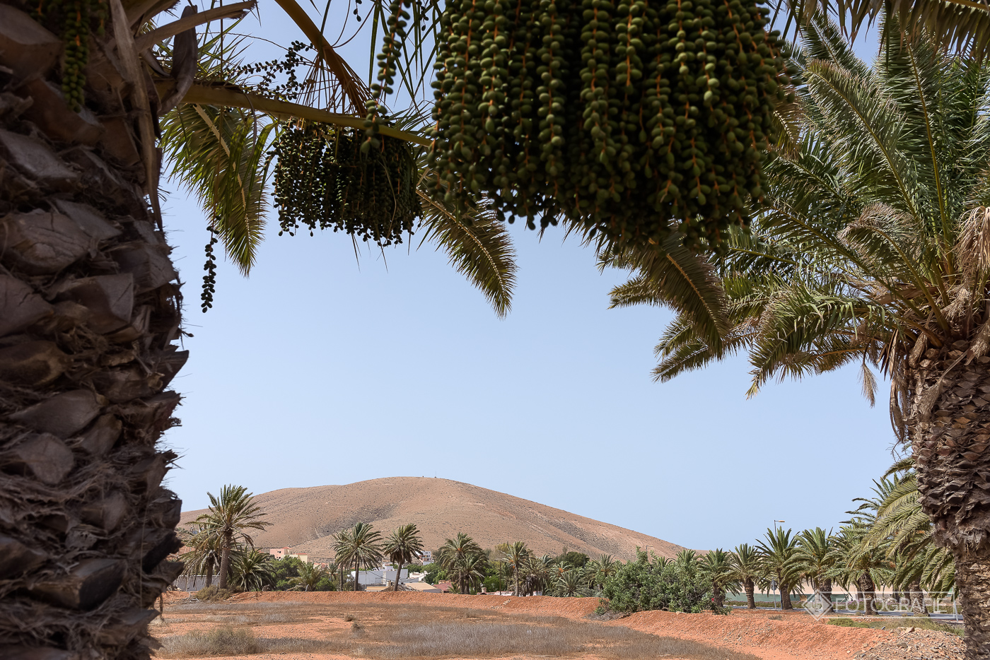 Fuerteventura 058