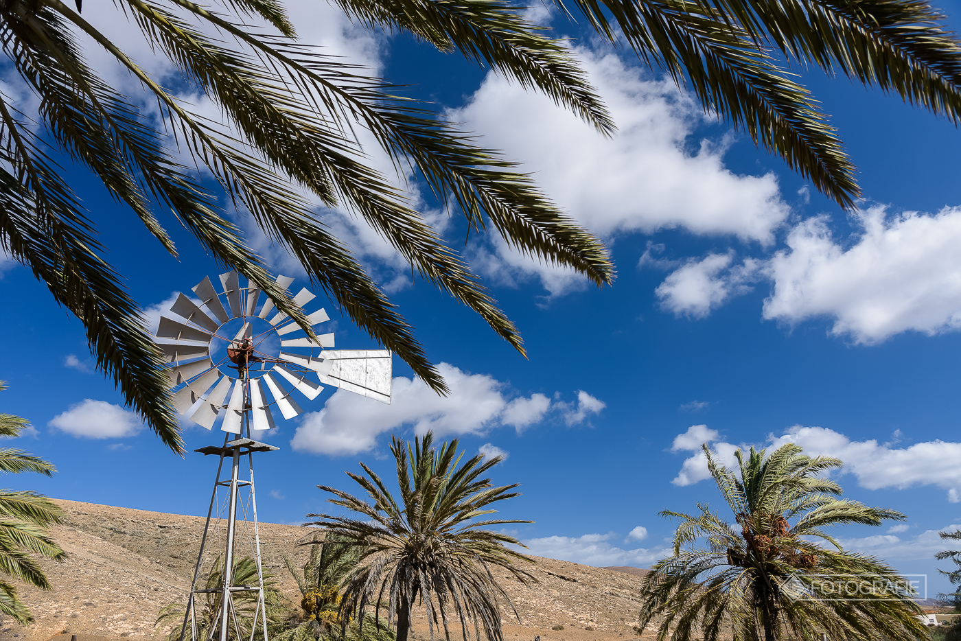 Fuerteventura 063