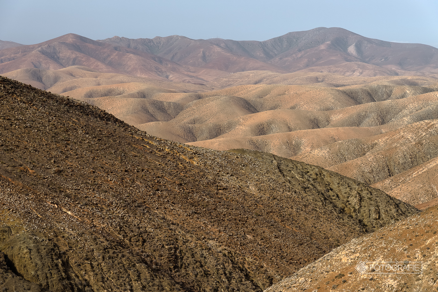 Fuerteventura 066