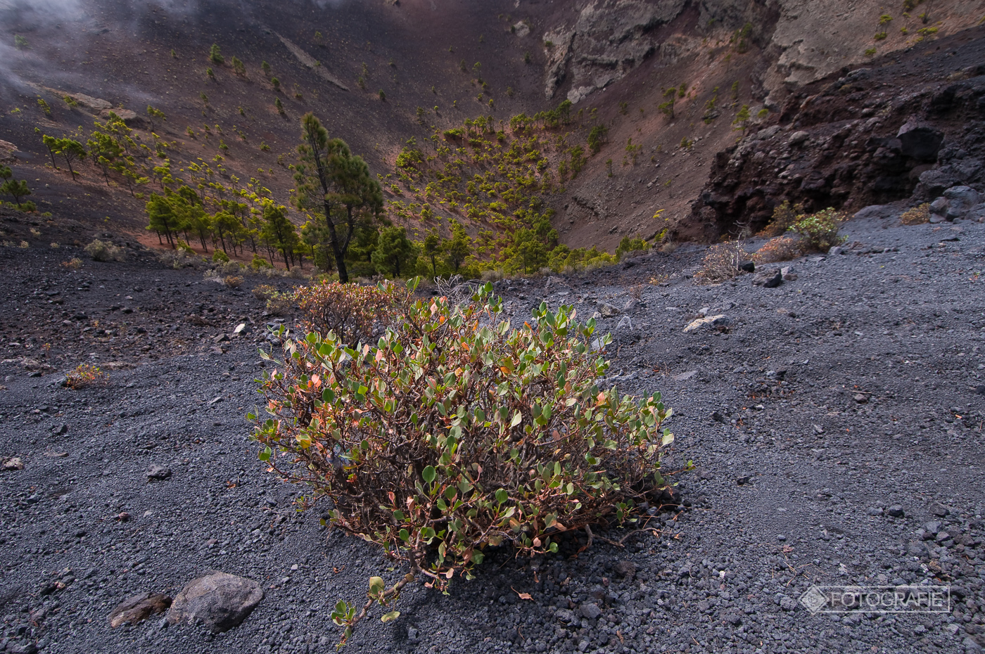Lapalma 026
