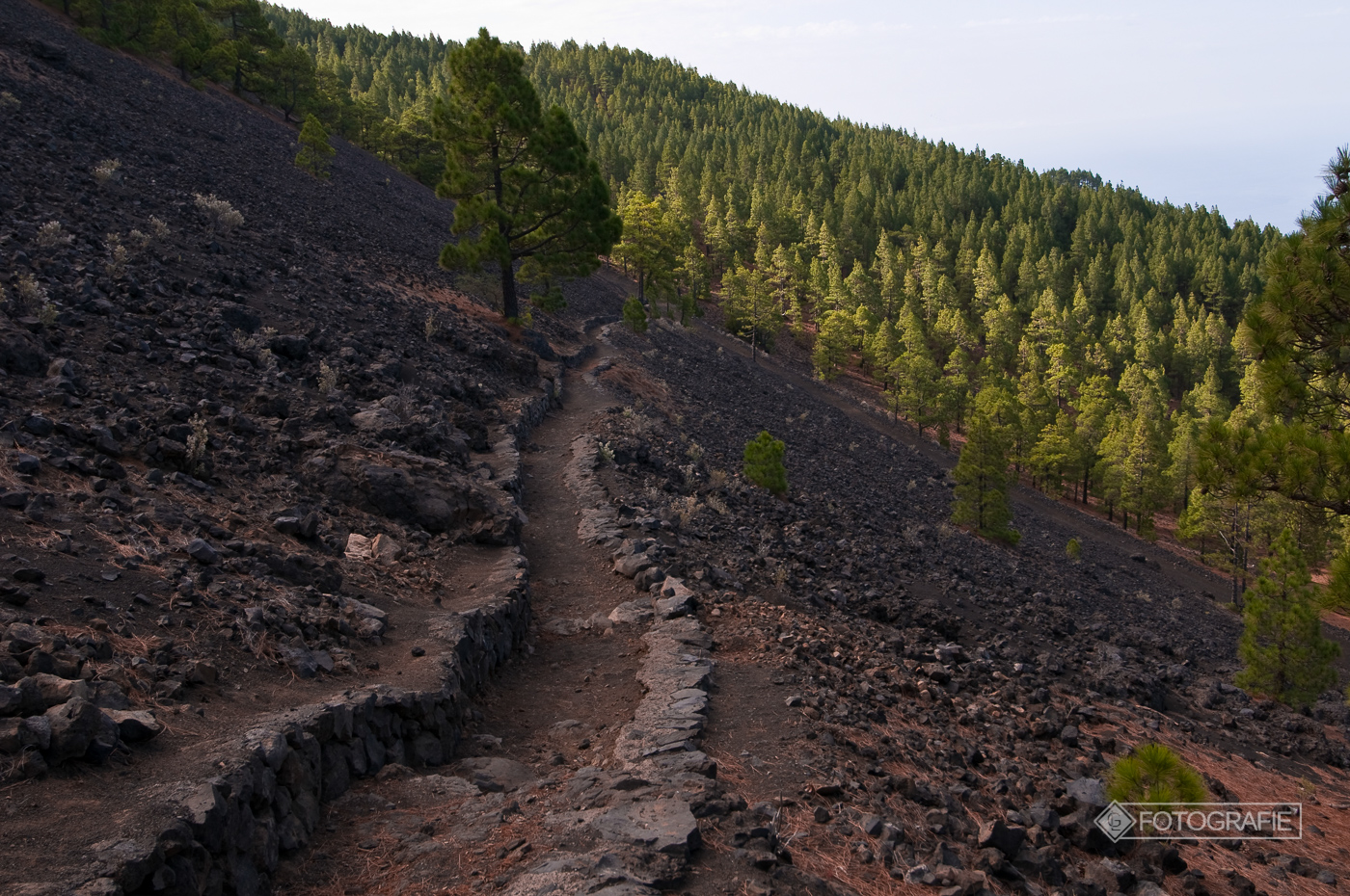 Lapalma 042