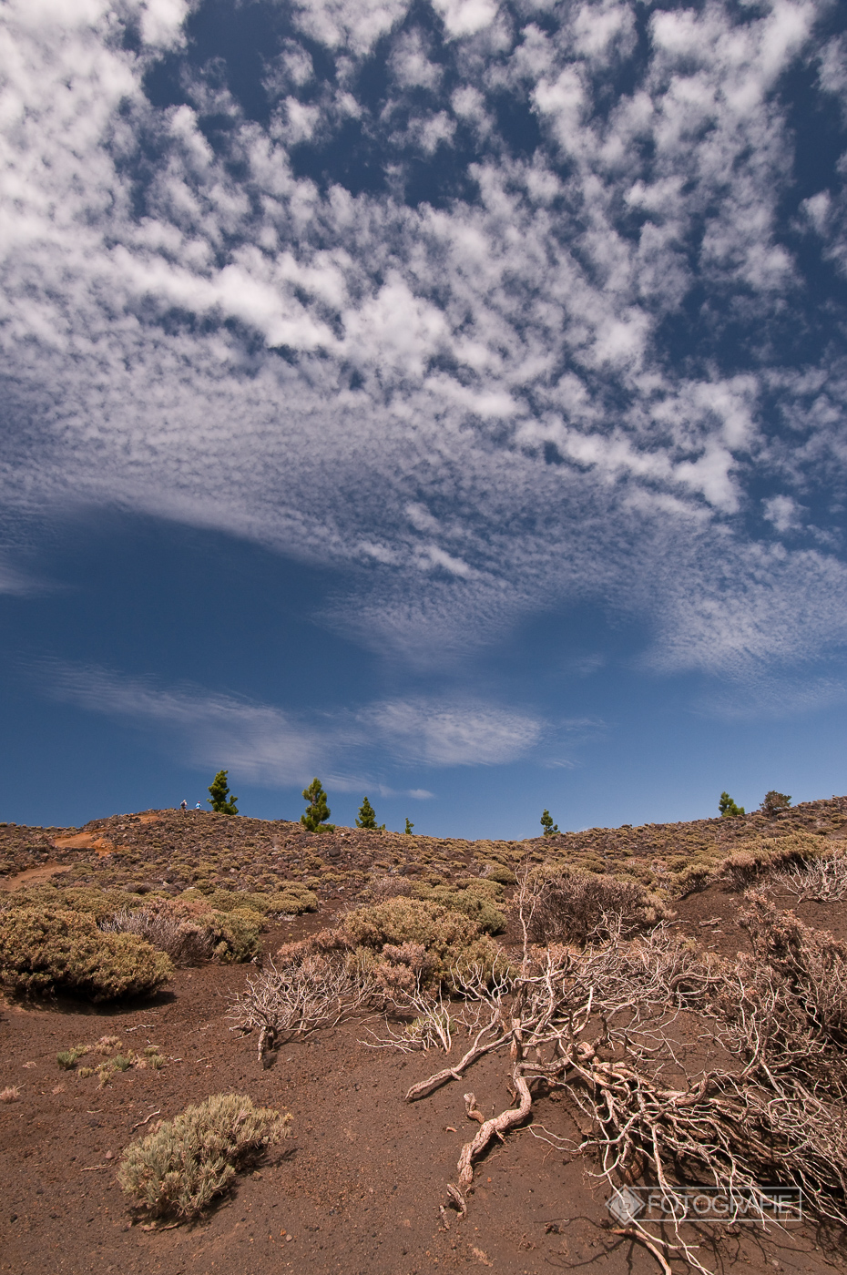 Lapalma 071