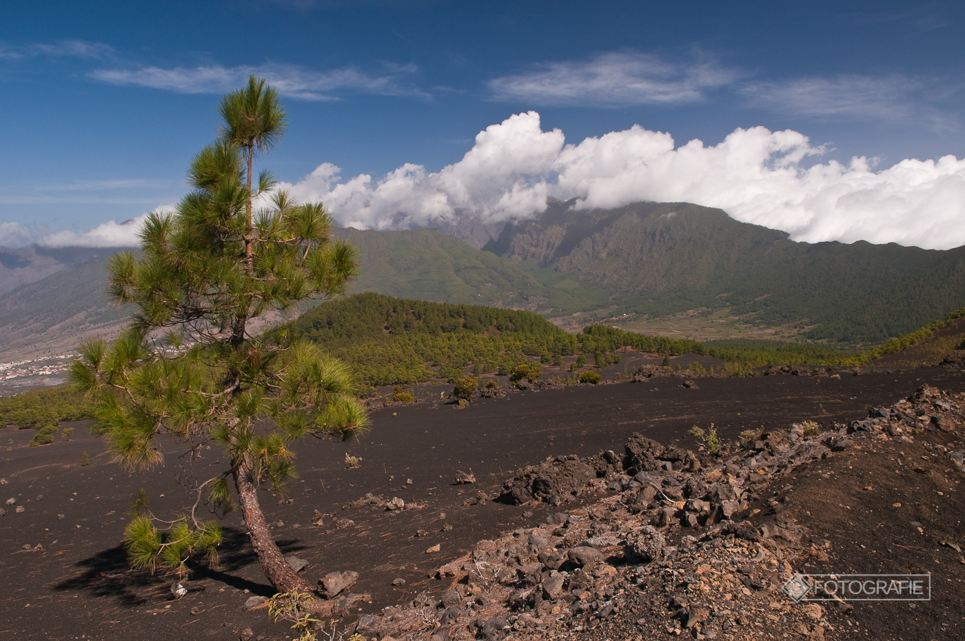 Lapalma 079