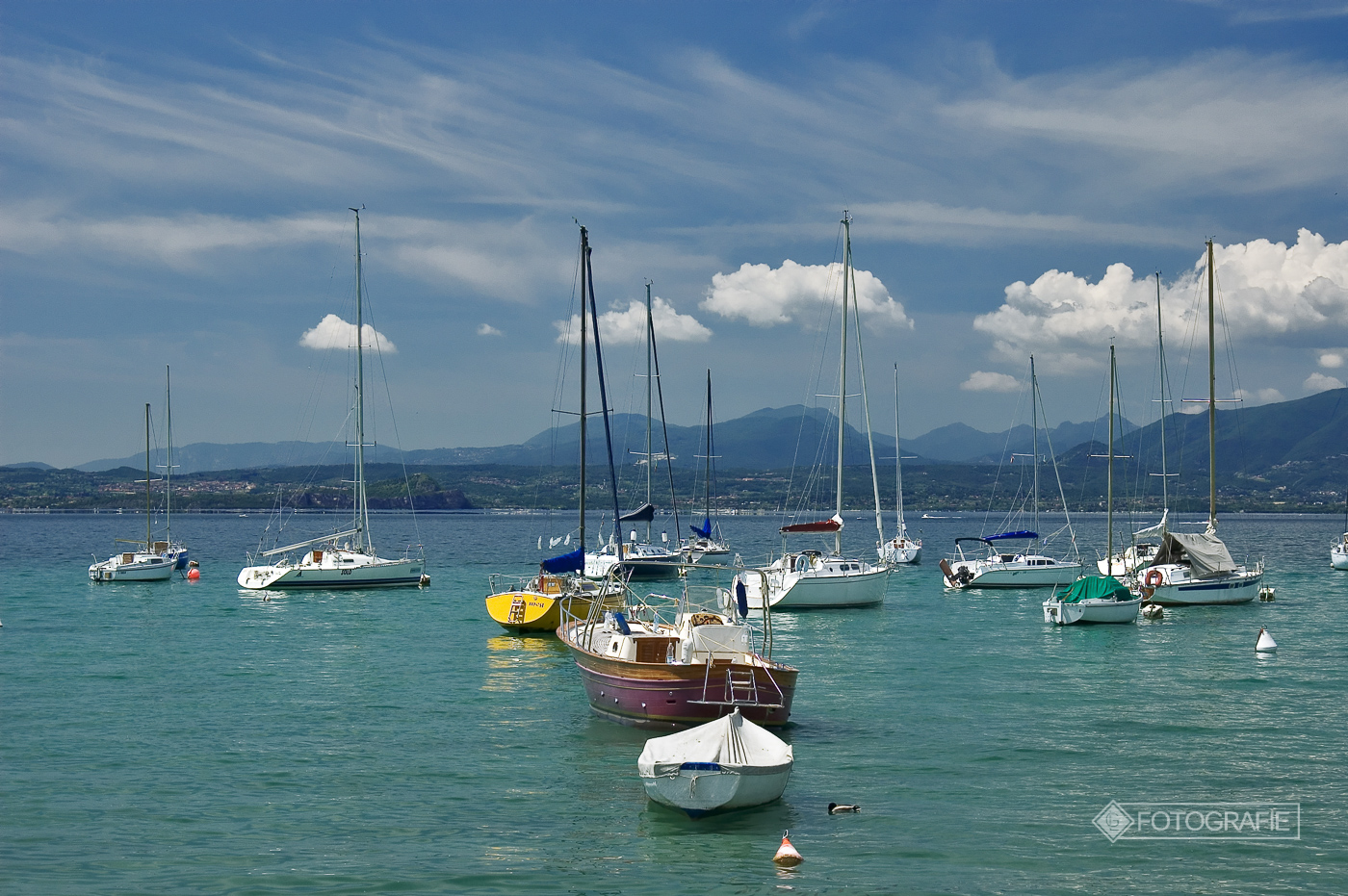 Lagodigarda 062