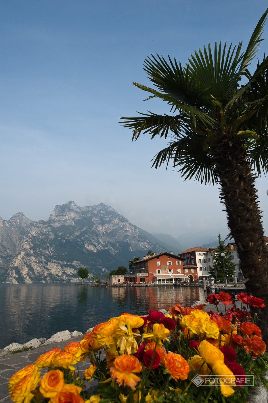 Lagodigarda 086