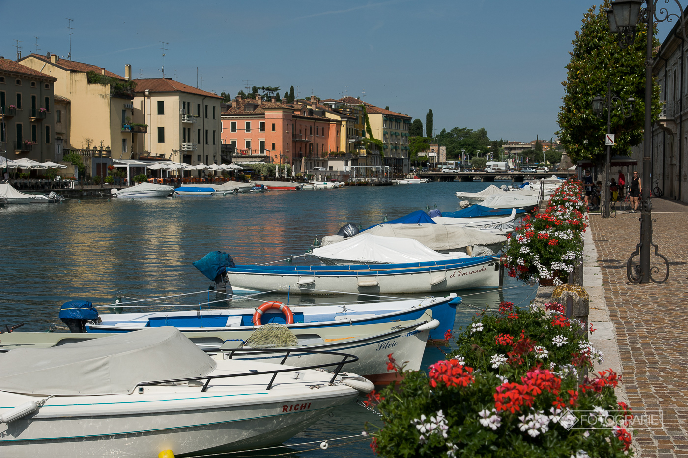 Lagodigarda 088