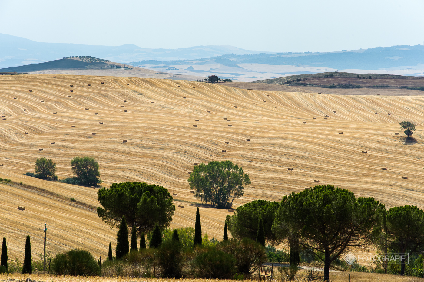 Toskana 056
