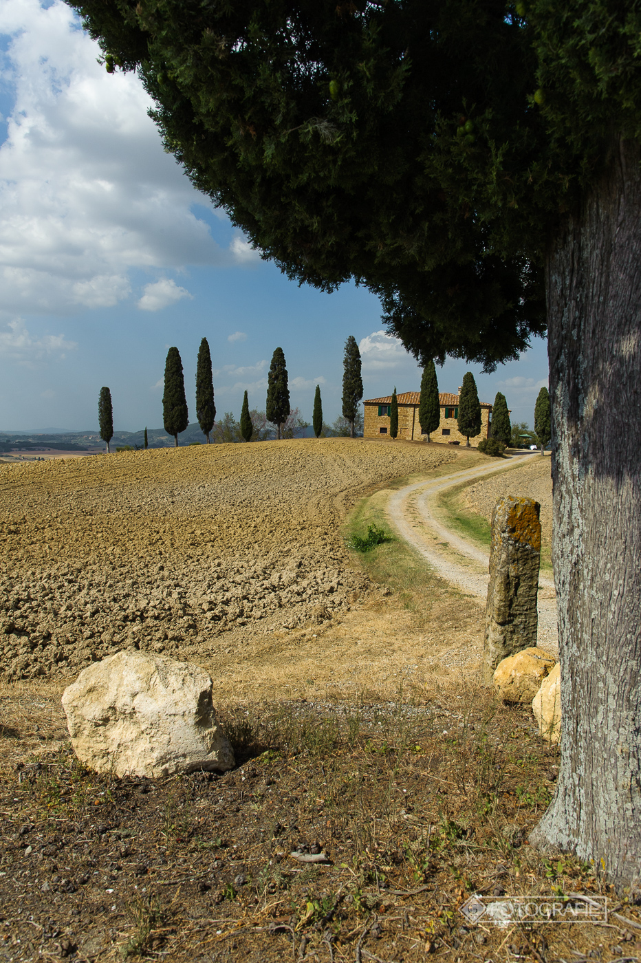 Toskana 111