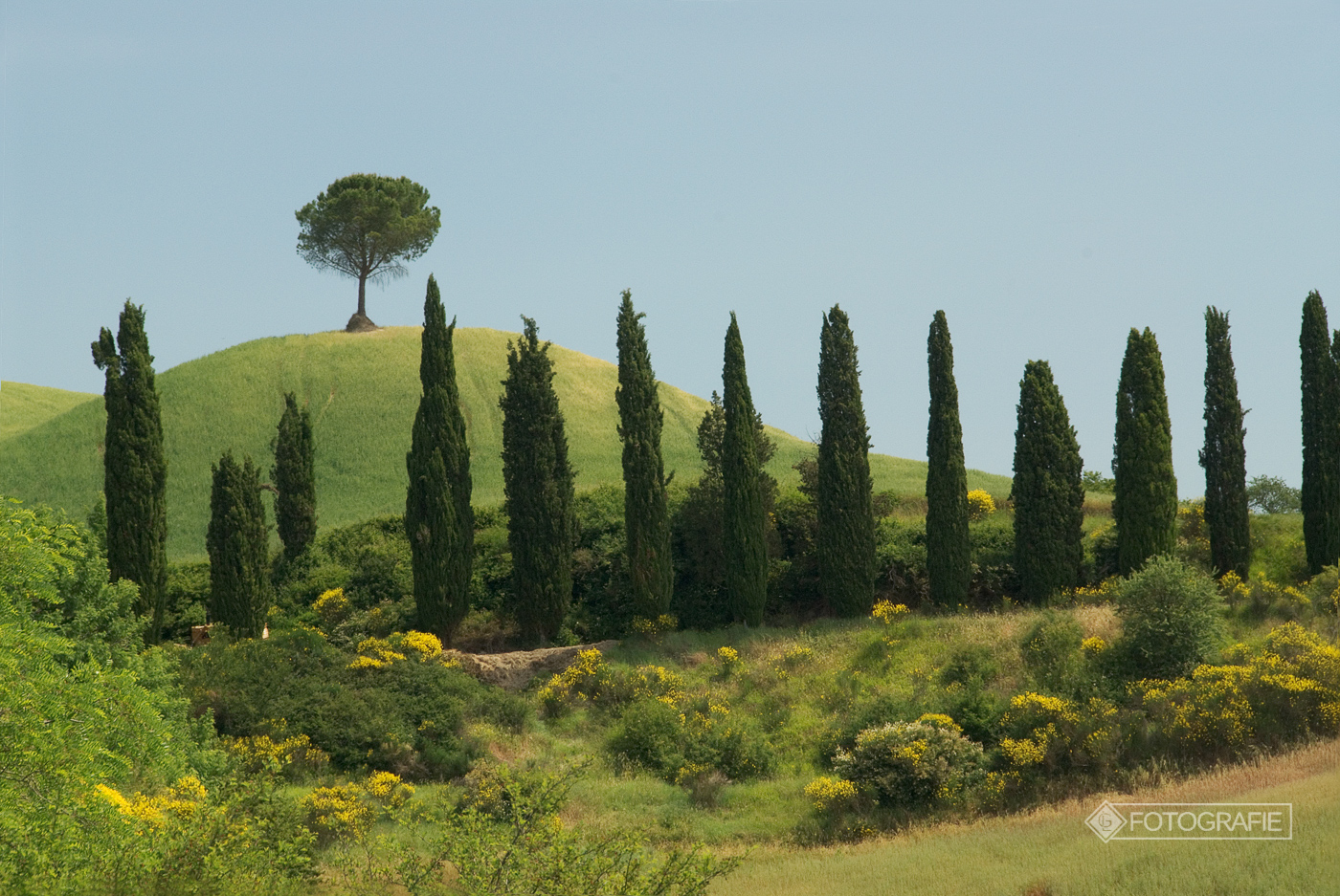 Toskana 127