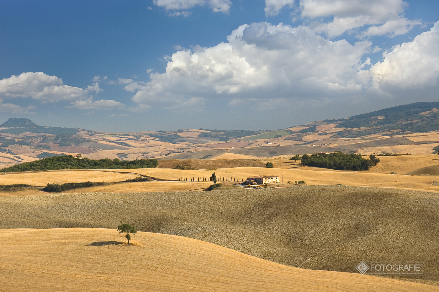 Toskana 164