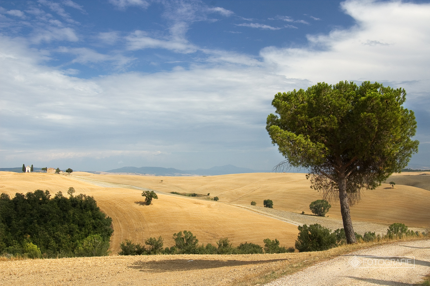 Toskana 191